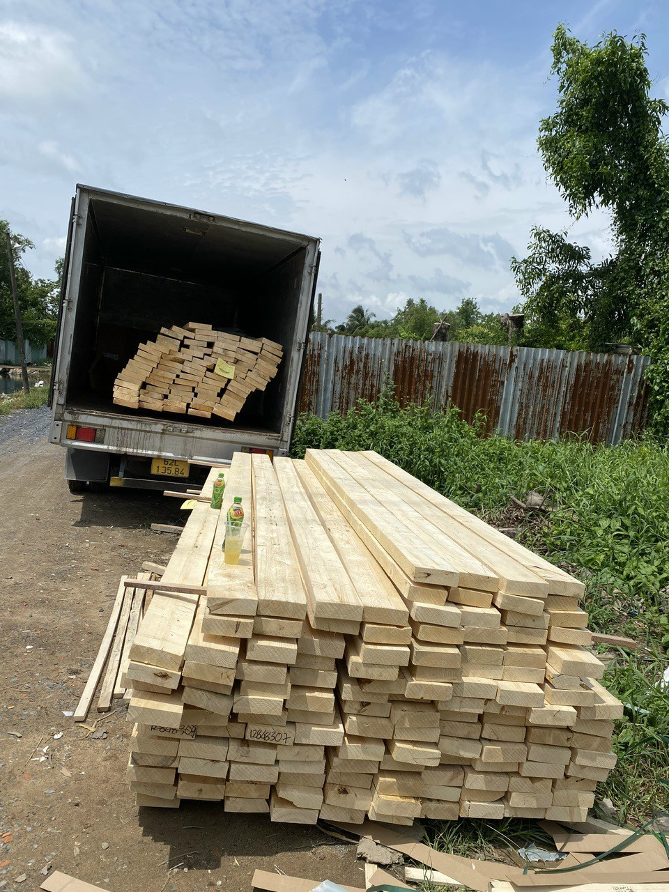 go thong trang thuy dien